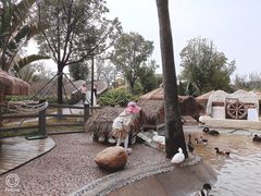 -珠海海泉湾神秘岛亲子乐园