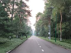 -黑龙江省森林植物园
