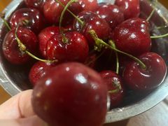 -麦德龙(闵行店)