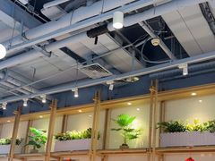 -翡翠拉面小笼包Crystal Jade(上海浦东国际机场T1店)