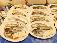 -小船渔村·大连菜(明泽街店)