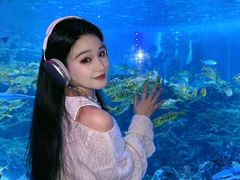 -海合安成都极地海洋公园