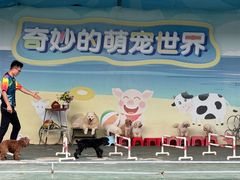 -光明农场大观园