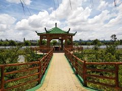 -长廊欢乐园