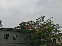 -杭州城北体育公园