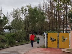 -前小桔亲子创意农场·草莓采摘·露营烧烤