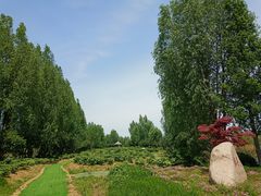 -泗洪洪泽湖湿地景区