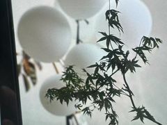 -涟LIAN·泰式按摩·MASSAGE·SPA(深业上城店)