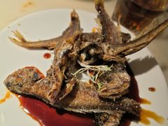 -佬肥猫·浙江乡村菜(国华广场店)
