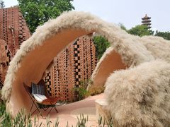 -深圳仙湖植物园