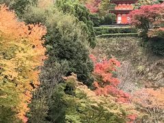 -有栖山 清光院 清水寺