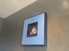 -大鸭梨烤鸭(望京店)
