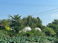 -桤木河湿地公园