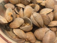 -山海关清和浑锅店