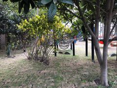 -MICC蒙世学堂幼儿园(灵山校区)
