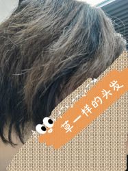 -TSO 慕尚·微潮派