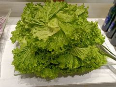 -玫瑰花园自助烤肉(顺义鑫海韵通店)
