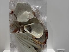 -中国农业博物馆