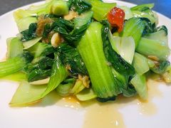 -京城·森鸽排档(双井店)