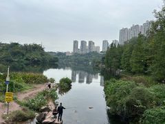 -重庆彩云湖湿地公园