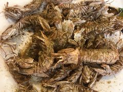 -大丰收海鲜酒楼·专业餐饮30年(连云港老字号店)
