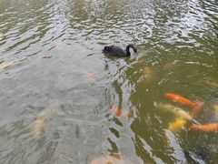 -珠海圆明新园