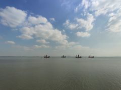 -贡湖湾湿地公园