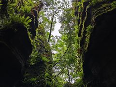 -梭布垭石林景区