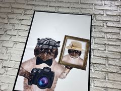 -藏猫猫咖啡主题馆(中央大道店)