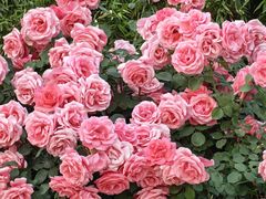 -下沉广场(羊坊店街道)