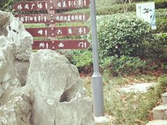 -菊花台公园