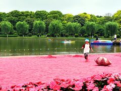 -上海鲜花港