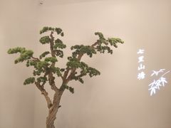 景观位-松鹤楼·非遗·苏帮菜(融科店)