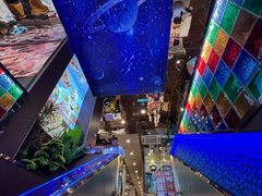 -巴依老爷新疆美食(常营店)
