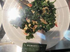 -Green Option(官舍店)