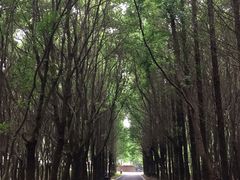 -同里国家湿地公园