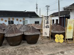 -苏州市吴中区光福窑上花果蜜饯厂