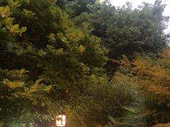 -青城道汤池