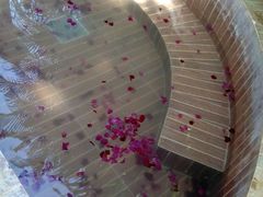-三亚珠江南田温泉度假区