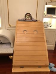 -大美母婴月子中心