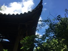 -藏龙百瀑风景区