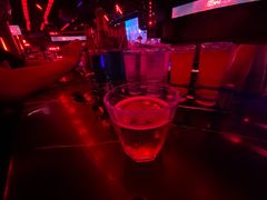 -519 DJ HOUSE(领show店)