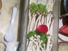 -东道煮牛肉火锅(东盛大街店)