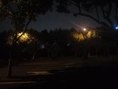 -金科路(地铁站)