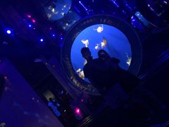 -成都浩海立方海洋公园