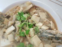 -煲来饱去冷水鱼