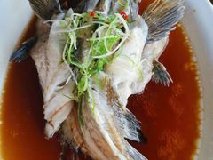 -海盗餐厅