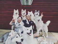 -TrueLove @ Neverland (Husky Cafe)