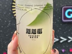 -蔻蔻椰·鲜萃椰子水(欢乐港湾店)
