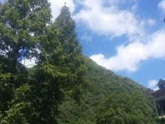 -太湖源风景区